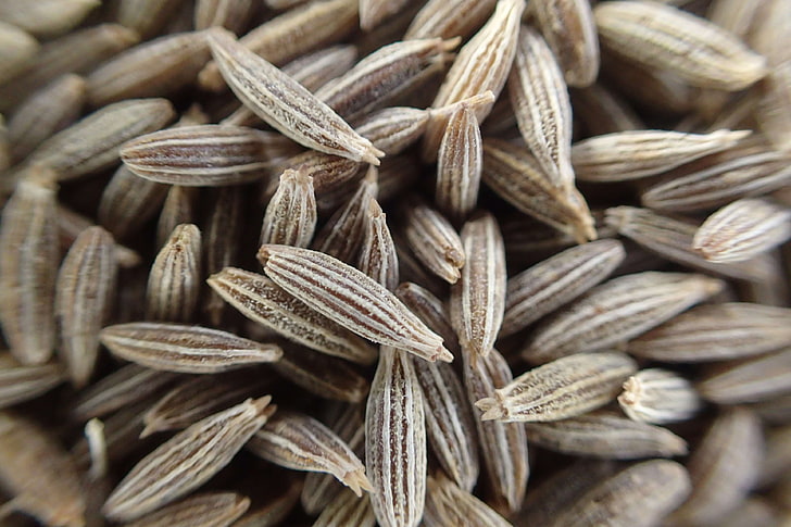 cumin-cumin-seeds-seeds-spices-wallpaper-preview