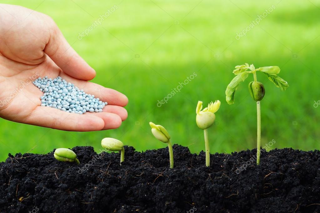 depositphotos_63772163-stock-photo-hand-giving-chemical-fertilizer-to