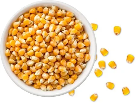 Popcorn-Maize-Kernels